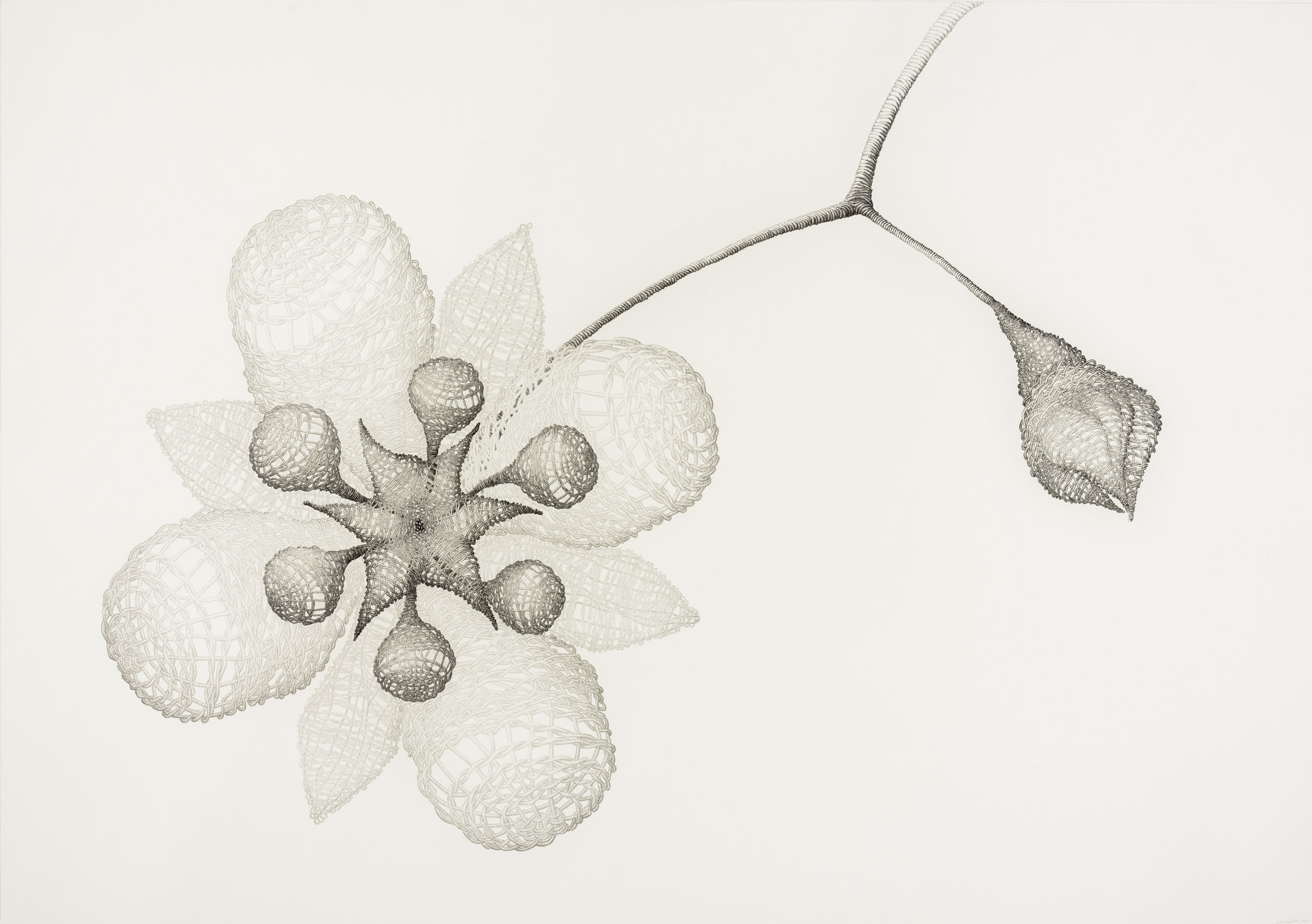 2017_08_KymberDrawings-004-Edit